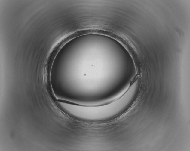 X0000113181069200909041338