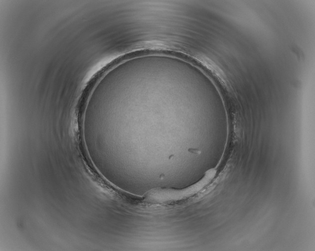 X0000113181070200909041338