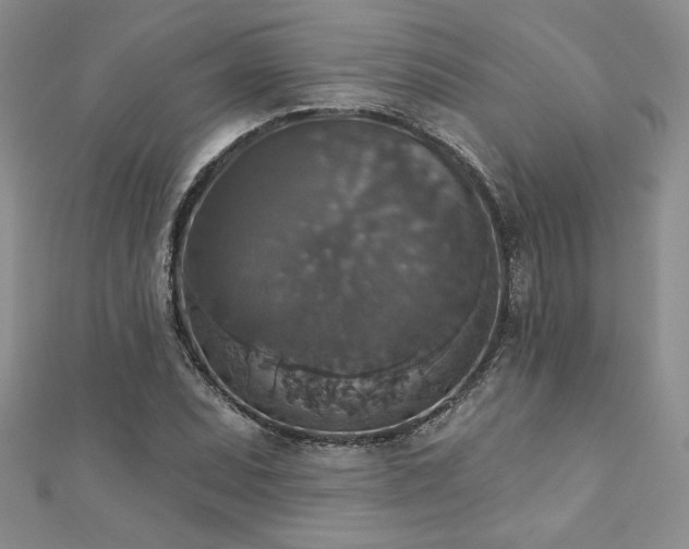 X0000113181071200909041338
