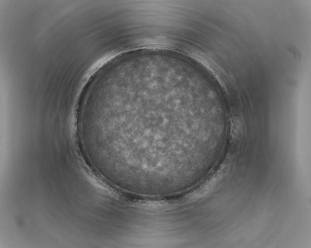 X0000113181074200909041338