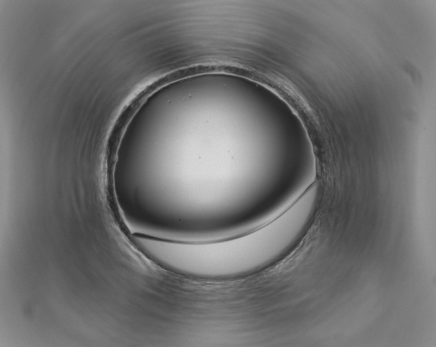 X0000113181076200909041338