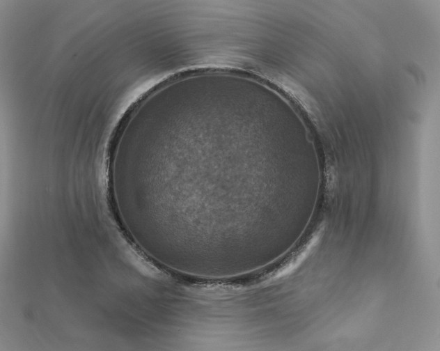 X0000113181077200909041338