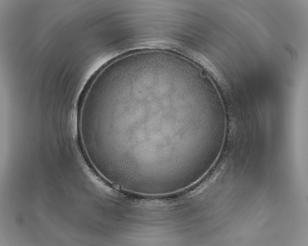 X0000113181079200909041338