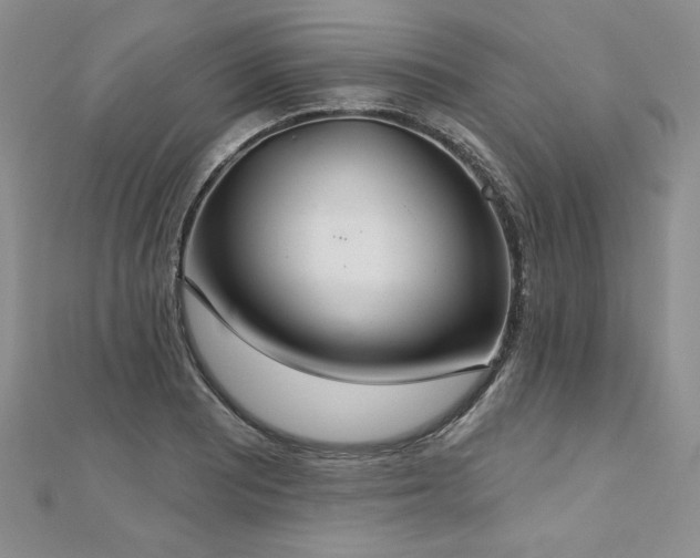 X0000113181081200909041338