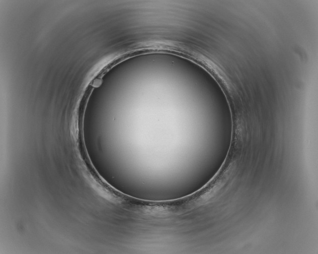 X0000113181082200909041338