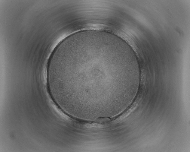 X0000113181083200909041338