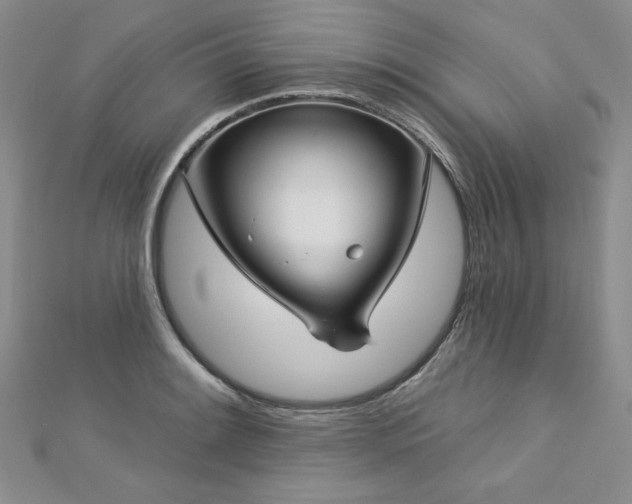 X0000113181084200909041338