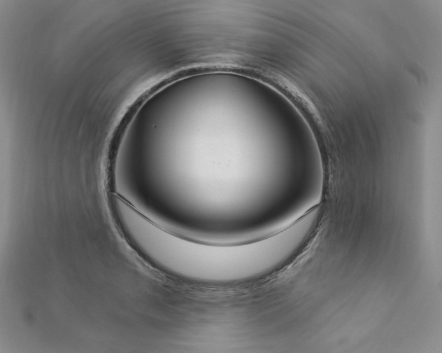 X0000113181085200909041338