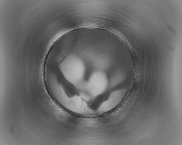 X0000113181086200909041338