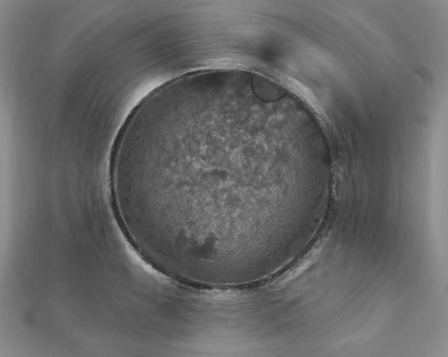 X0000113181087200909041338