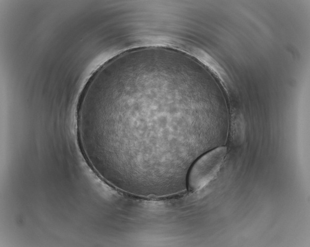 X0000113181088200909041338