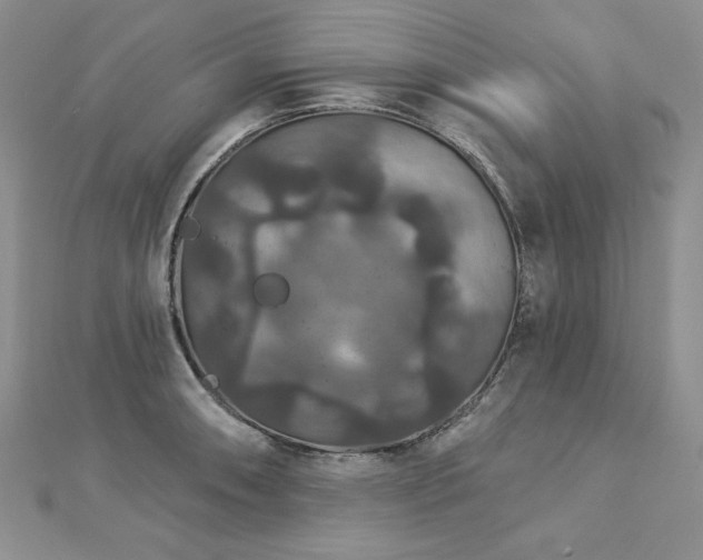 X0000113181090200909041338