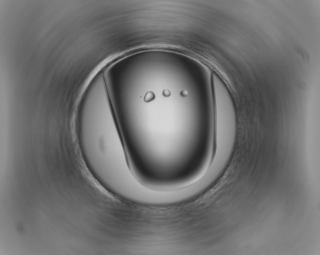 X0000113181092200909041338