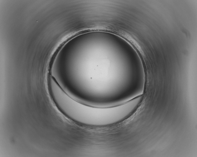 X0000113181093200909041338