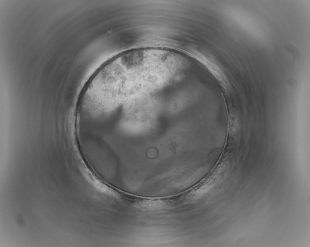 X0000113181094200909041338