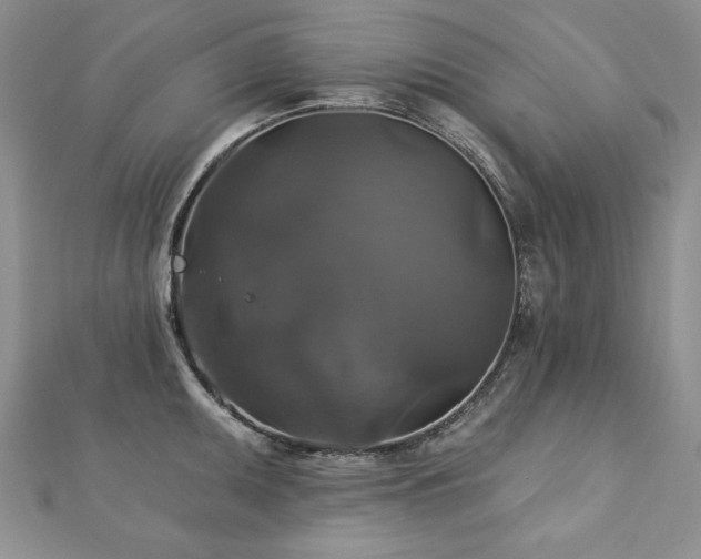 X0000113181095200909041338