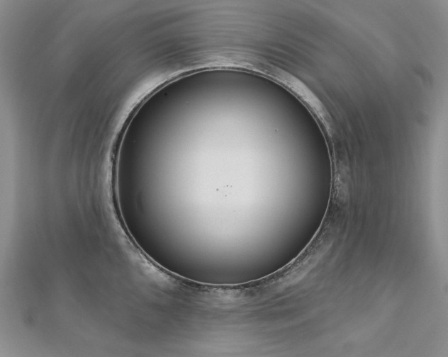 X0000113181096200909041338