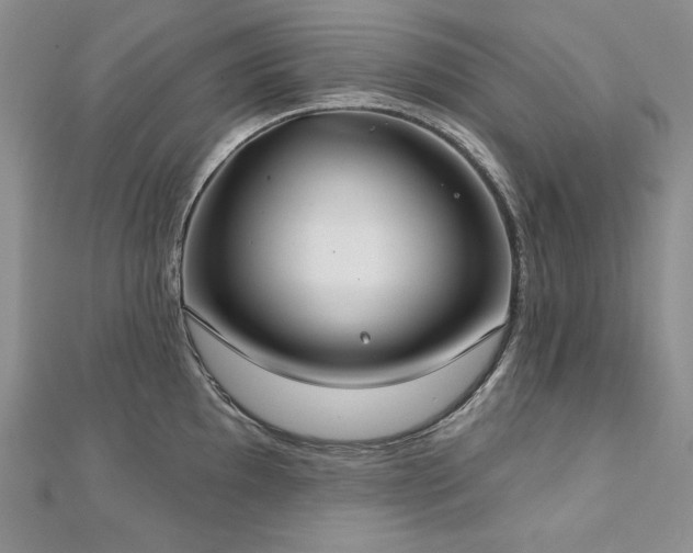 X0000113181097200909041338