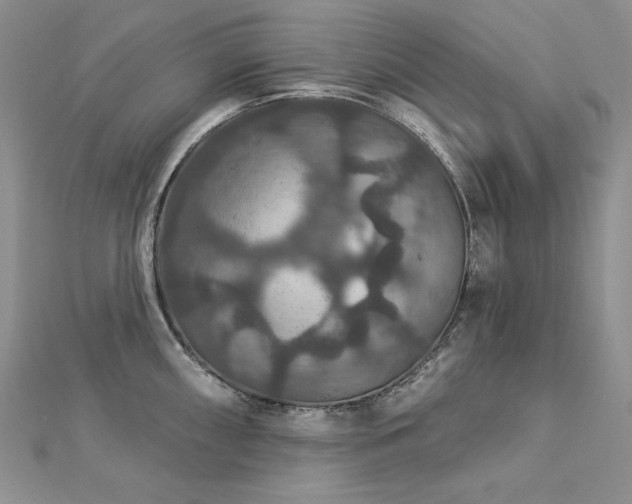 X0000113181098200909041338