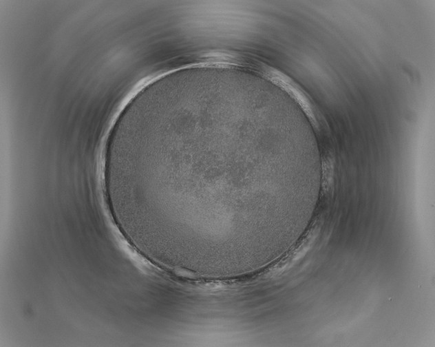 X0000113181099200909041338