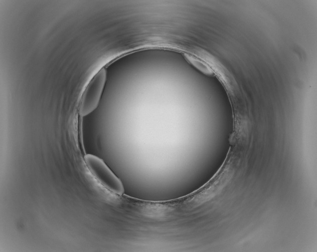 X0000113181100200909041338