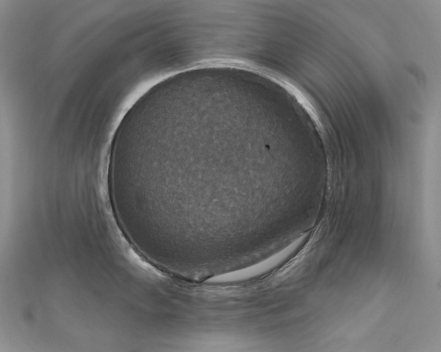 X0000113181102200909041338