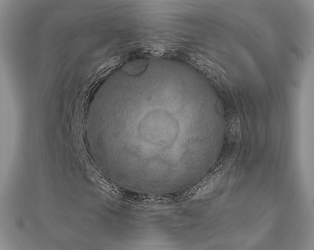 X0000113181105200909041337
