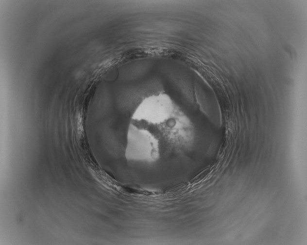 X0000113181106200909041337