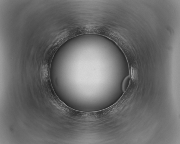 X0000113181107200909041337
