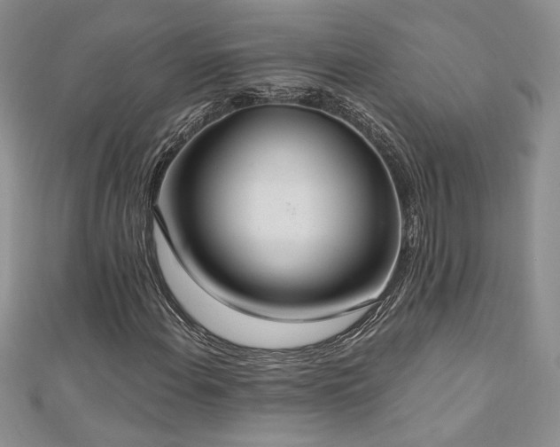 X0000113181108200909041337