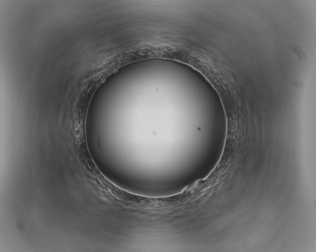 X0000113181109200909041337