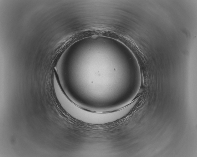 X0000113181110200909041337