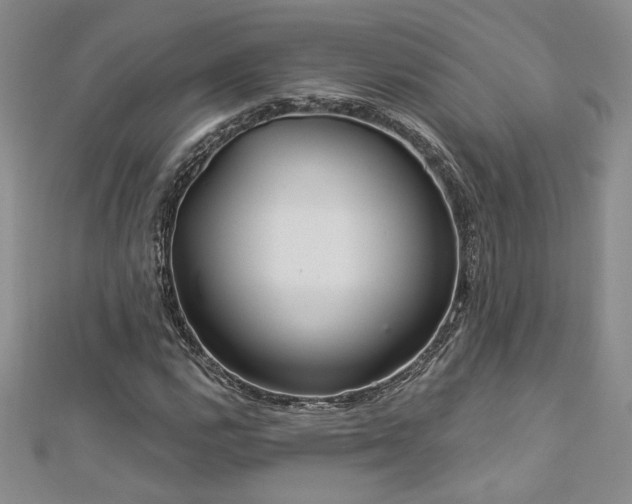 X0000113181112200909041337