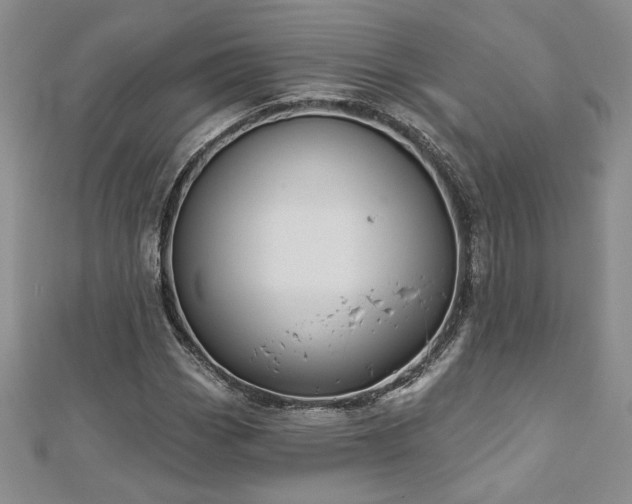 X0000113181113200909041337