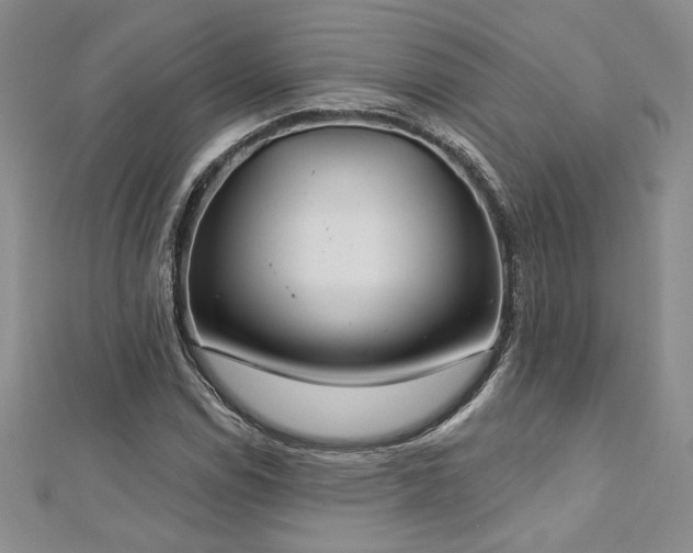 X0000113181114200909041337