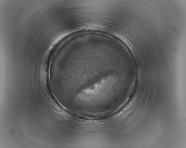 X0000113181115200909041337