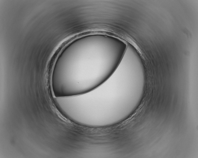 X0000113181116200909041337