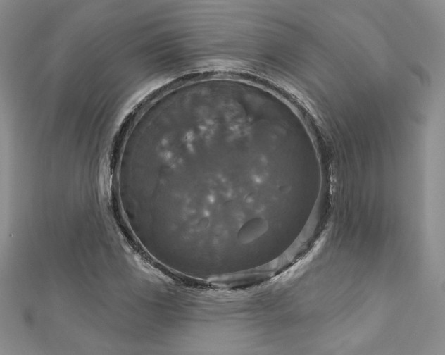 X0000113181117200909041337
