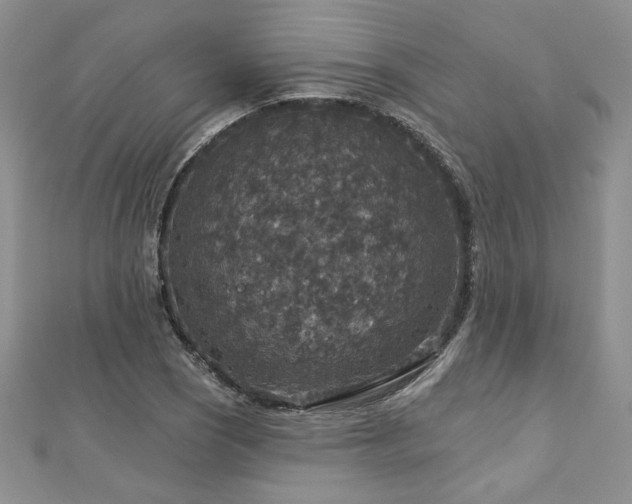 X0000113181121200909041337