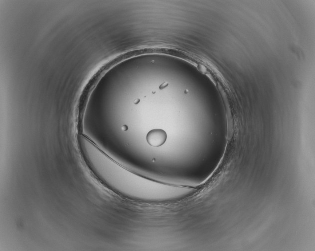 X0000113181124200909041337