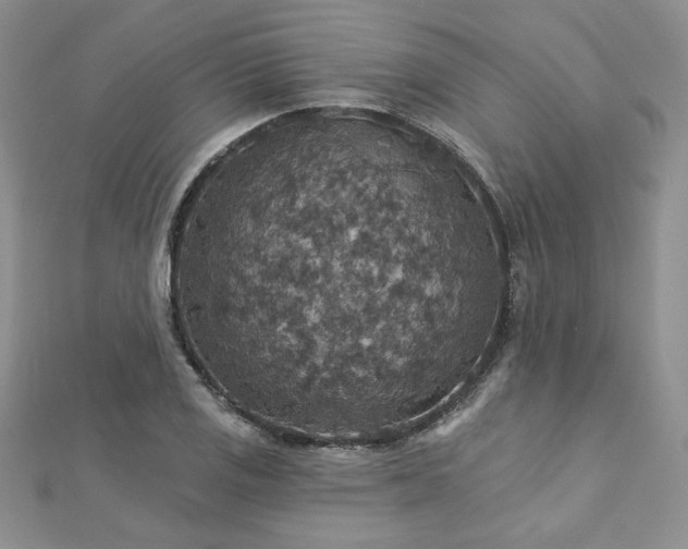X0000113181125200909041337
