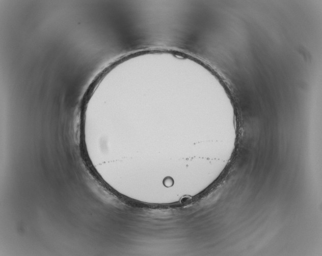 X0000113181126200909041337