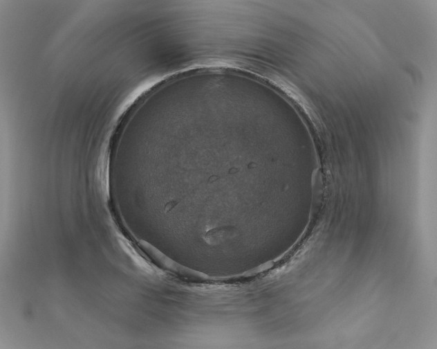 X0000113181127200909041337