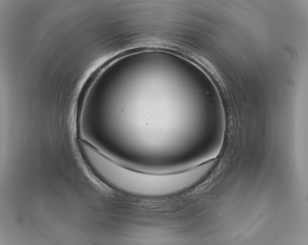 X0000113181128200909041337