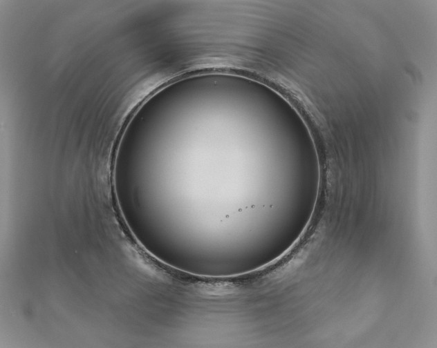 X0000113181129200909041337
