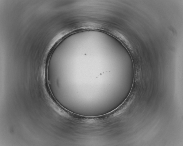 X0000113181130200909041337