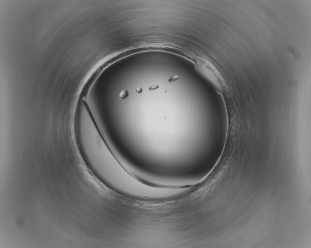X0000113181132200909041338
