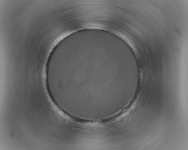 X0000113181133200909041338