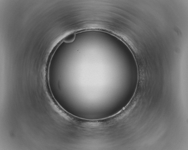 X0000113181134200909041338