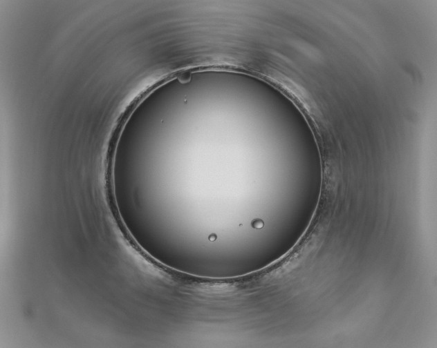 X0000113181135200909041338